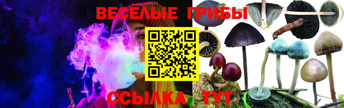 Конопля  Cocaine  МЕТ  ГАШ  Саяногорск  КЕТАМИН  Меф   Вход с VPN 